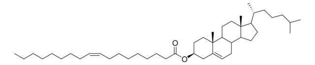 18:1 Chol Ester Avanti Research&#8482; - A Croda Brand