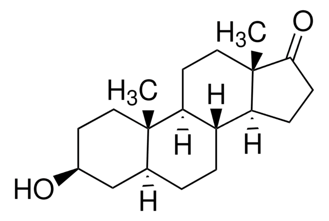 trans-Androsteron