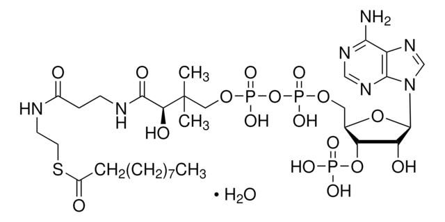 Decanoyl-Coenzym&#160;A Monohydrat &#8805;90%