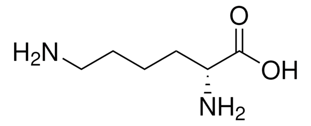 D-Lysin &#8805;98% (HPLC)