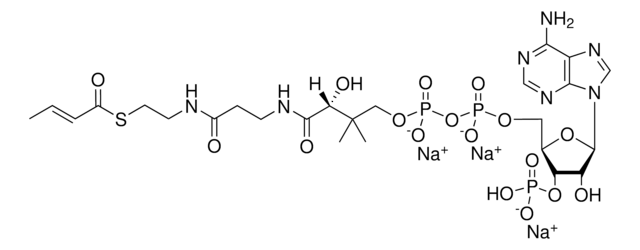 04:1 Coenzyme A Avanti Polar Lipids 870709P, powder