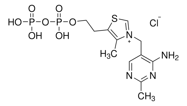 ピロリン酸チアミン &#8805;95%