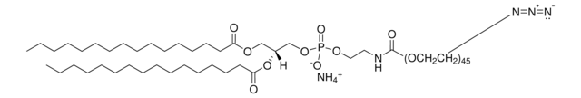 DPPE-PEG(2000)Azide Avanti Polar Lipids, powder