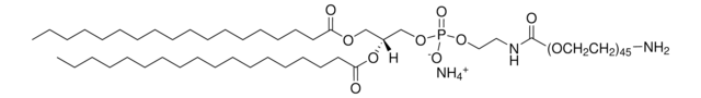 DSPE-PEG(2000)アミン Avanti Research&#8482; - A Croda Brand 880128C