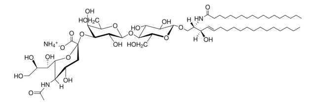 C18:0 GM3 (synthetic) Avanti Research&#8482; - A Croda Brand 860074W, methanol solution