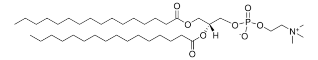 16:0 PC (DPPC) Avanti Polar Lipids