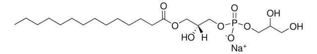 14:0 Lyso PG Avanti Research&#8482; - A Croda Brand