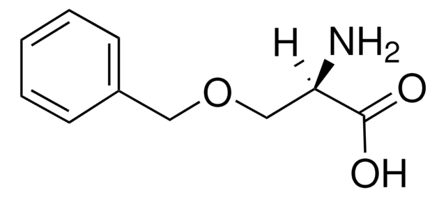 O-Benzyl-D-serine &#8805;99.0%