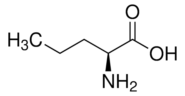 L-Norvaline arginase inhibitor