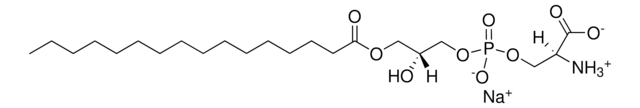 16:0リゾPS 1-palmitoyl-2-hydroxy-sn-glycero-3-phospho-L-serine (sodium salt), powder