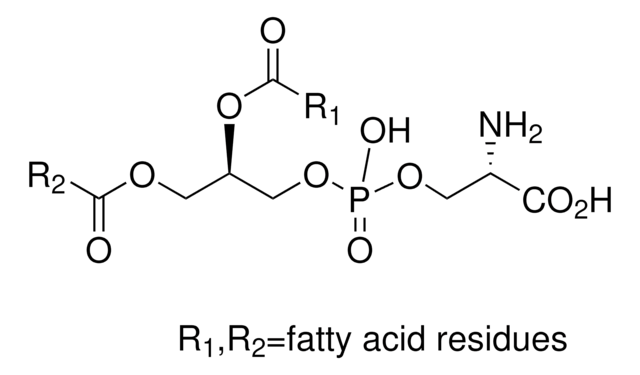 1,2-Diacyl-sn-glycero-3-phospho-L-serin &#8805;97% (TLC), from bovine brain, amorphous powder