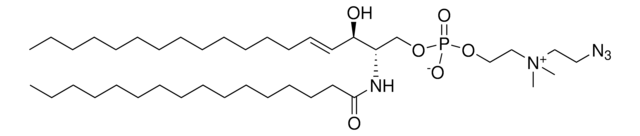 16:0 Azidoethyl SM (d18:1/16:0) Avanti Research&#8482; - A Croda Brand