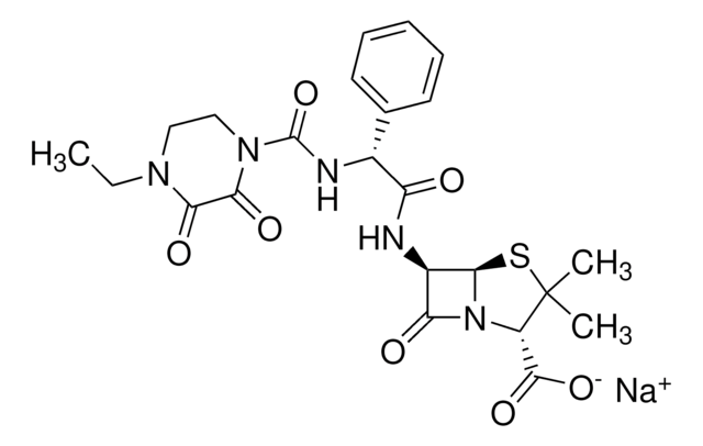 ピペラシリン ナトリウム塩 penicillin analog