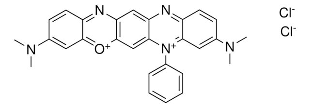 BASIC BLACK 7 (C.I.51215) AldrichCPR