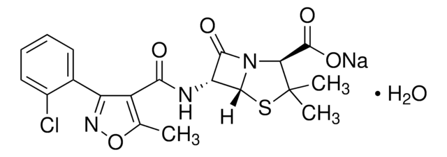 Cloxacillin Natriumsalz Monohydrat &#946;-lactamase-resistant antibiotic