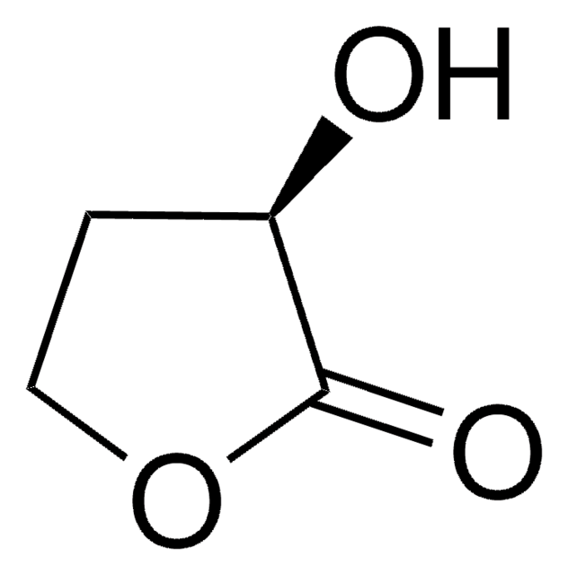 (R)-(+)-&#945;-Hydroxy-&#947;-butyrolacton 95%, optical purity ee: 98% (GLC)