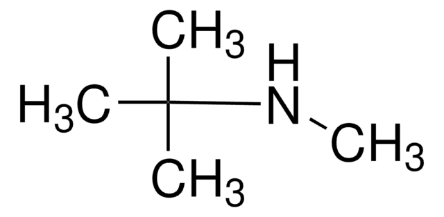 N-tert.-Butylmethylamin 97%