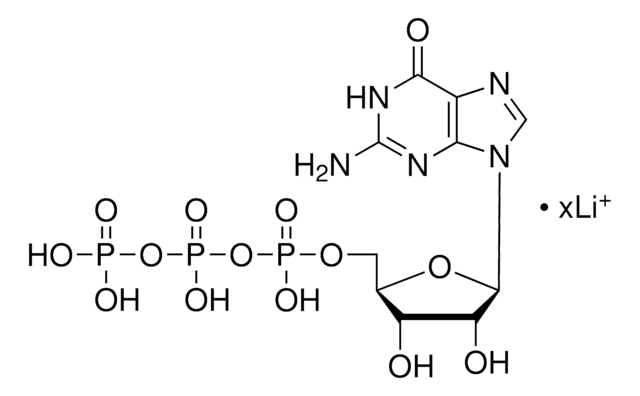 Guanosin-5&#8242;-triphosphat Lithiumsalz ~95% (HPLC), powder