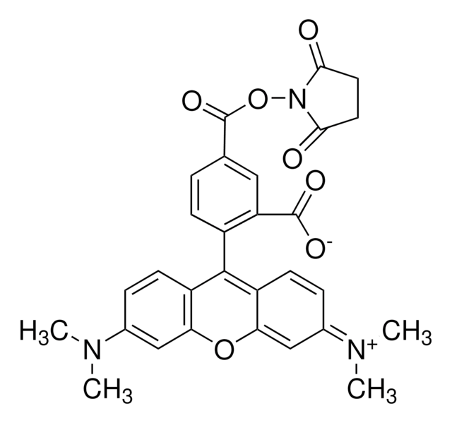 5-Carboxy-tetramethylrhodamine N-succinimidyl ester BioReagent, suitable for fluorescence