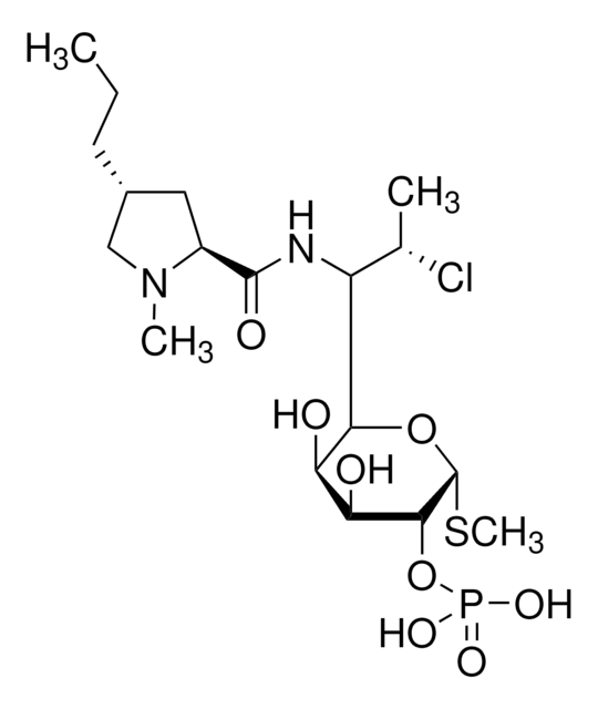 Clindamycinphosphat für die Systemeignung European Pharmacopoeia (EP) Reference Standard