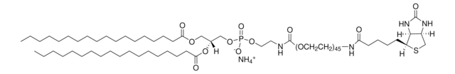 DSPE-PEG(2000) ビオチン Avanti Research&#8482; - A Croda Brand 880129C