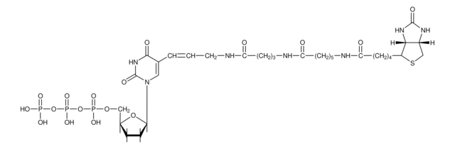 生物素-16-ddUTP &#8805;98% (HPLC), solution, 1&#160;mM, suitable for hybridization