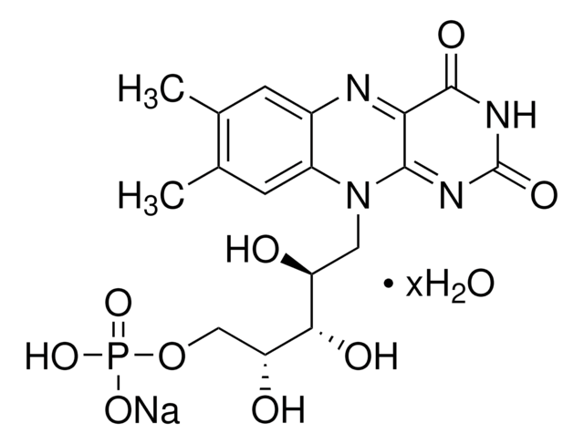 Riboflavin 5&#8242;-monophosphate sodium salt hydrate suitable for electrophoresis, suitable for acrylamide photopolymerization, &#8805;70%, powder