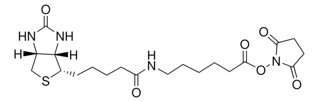 ビオチンアミドヘキサン酸 N-ヒドロキシスクシンイミドエステル &#8805;98% (TLC), powder