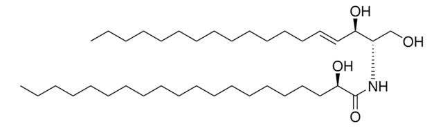 20:0(2R-OH) Ceramide Avanti Polar Lipids 860819P, powder