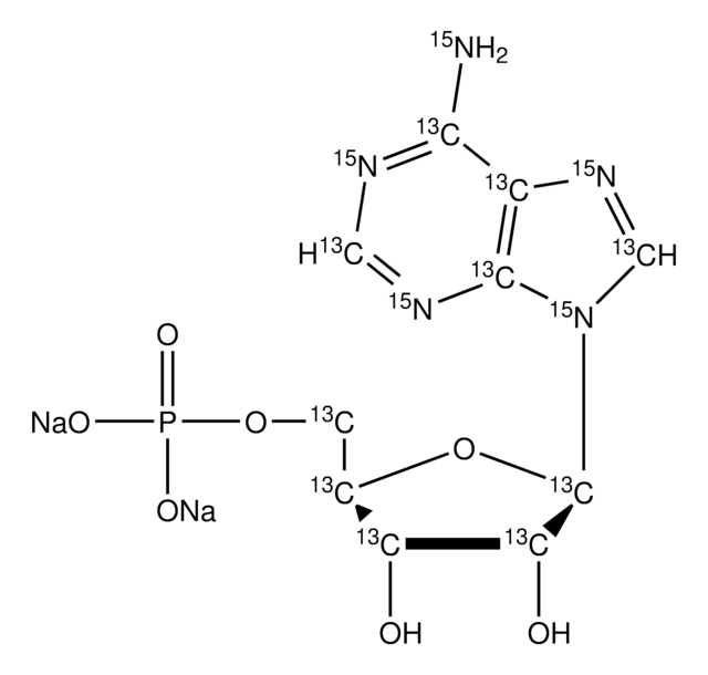 Adenosine-13C10,15N5 5&#8242;-monophosphate disodium salt solution 100&#160;mM (in 5mM Tris HCl / H2O), &#8805;98 atom %, &#8805;95% (CP)