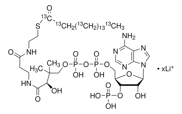 Palmitoyl-13C16 coenzyme A lithium salt 99 atom % 13C, 95% (CP)