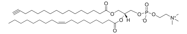 16:0(Alkyne)-18:1 PC Avanti Research&#8482; - A Croda Brand, powder