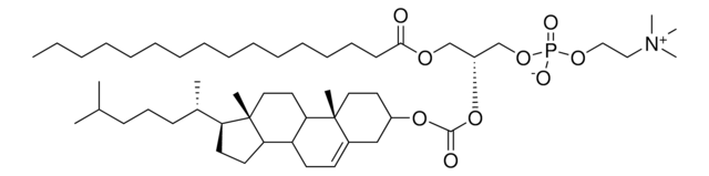 PChcPC Avanti Research&#8482; - A Croda Brand 880345P, powder