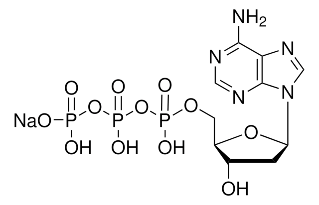 2&#8242;-Desoxyadenosin-5&#8242;-triphosphat Natriumsalz -Lösung 100&#160;mM, pH 7